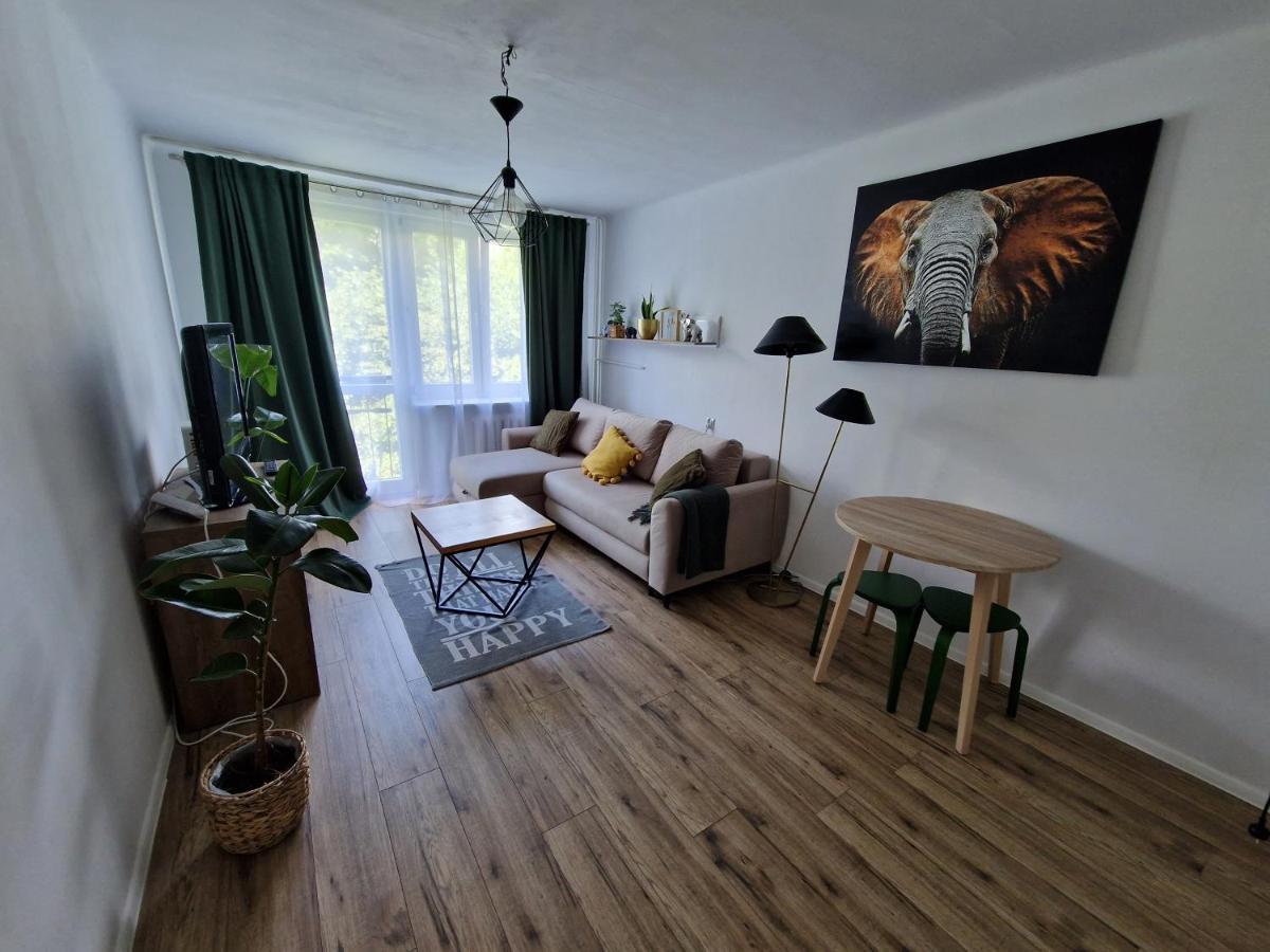 ז'שוב Sienkiewicza Apartament Multi House מראה חיצוני תמונה